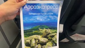 Аэроэкспресс  из Шереметьво  -снаружи и изнутри