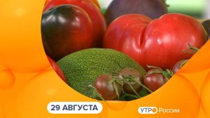 Утро России. Калуга (29.08.2024)