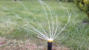 Rain Bird R-VAN 17-24 ротаторное сопло Рейн Берд в работе