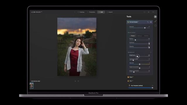 How to Edit Photo Easily in Luminar AI смотреть онлайн