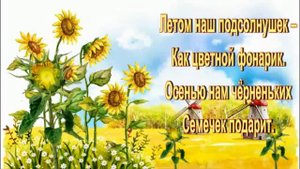 Солнышки-  подсолнушки