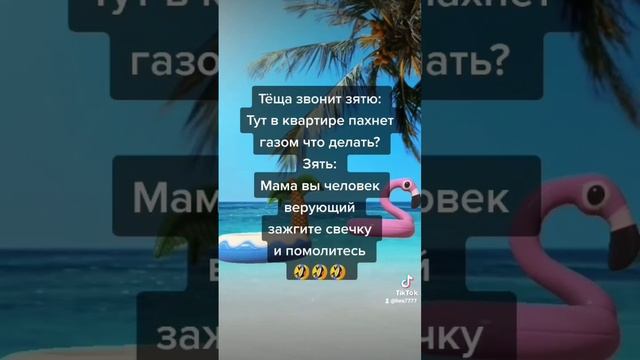 Анекдот про тёщу и зятя.