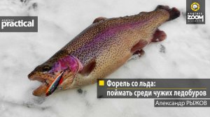 Форель со льда: поймать среди чужих ледобуров. Александр Рыжов