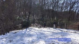 [4K] Panasonic HC-WX970M vs Sony FDR-AX100 Shoot out