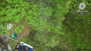 Эпичное падение больших деревьев