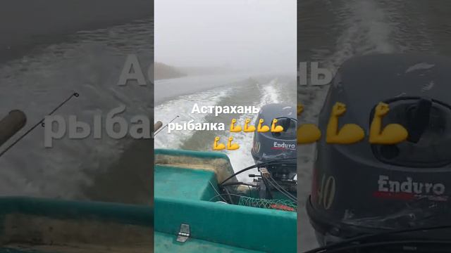 Астрахань. Поездка в тумане🤦♂️