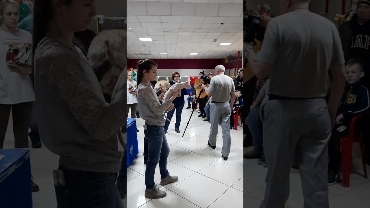 30 декабря 2023 г. смотреть онлайн