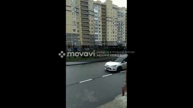 ОВЦЫ в городе смотреть онлайн