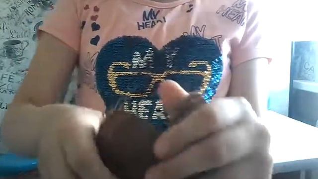 Я пробую кокос очень вкусно смотреть онлайн