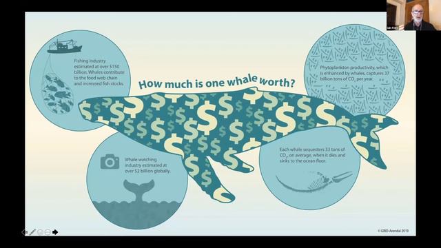 Whales and Climate Change with Dr. Iain Kerr from Ocean Alliance смотреть онлайн