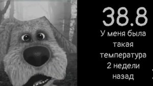 Твоя температура: