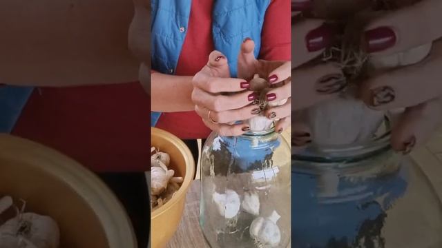 Как хранить чеснок зимой, чтобы он не испортился? смотреть онлайн