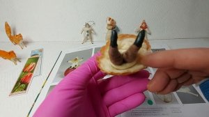 ? Старинные ватные игрушки 30-50 гг. Новый Год Елочные игрушки СССР.