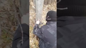 обзор на помповый маркер сквизер от allcity