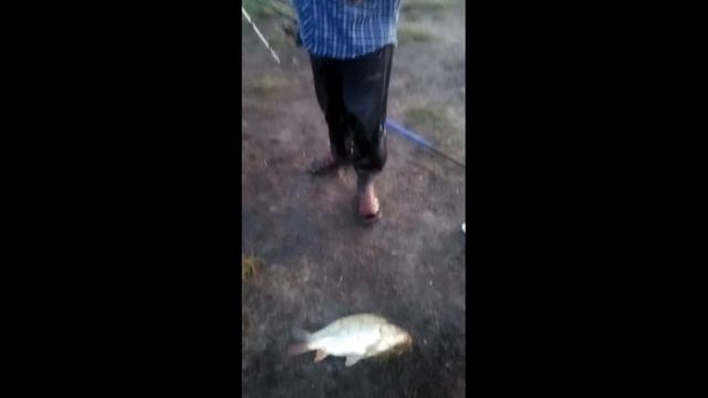 Рыбалка в Саратове смотреть онлайн