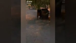 ТИК ТОК ТРЕНДЫ 2020 ТАНЦЫ ПОД МУЗЫКУ Raim ДВИГАТЬСЯ!