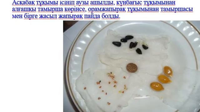 Тұқымның өнуіне қажетті жағдайлар Қалдасбекова А смотреть онлайн