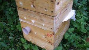 когда формировать отводки пчел на пасеке, весной или летом ? - разные варианты формирования отводко