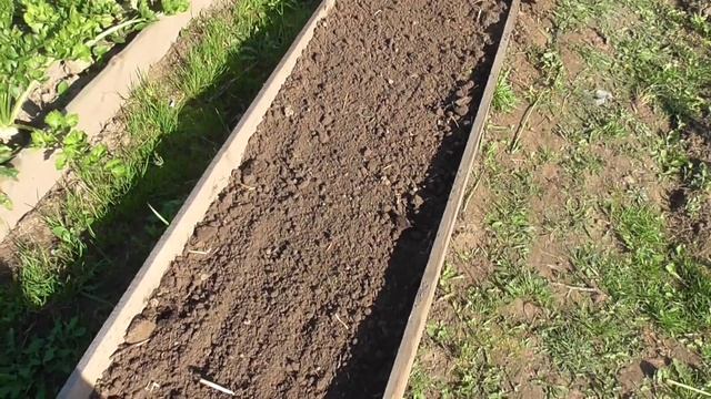 Готовим грядку для озимой посадки смотреть онлайн