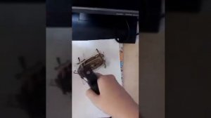 Семейное гнёздышко. Гнездо для птиц своими руками.