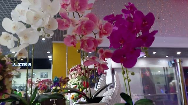 Цветы для интерьера  в  ТЦ " Мармелад" город Волгоград