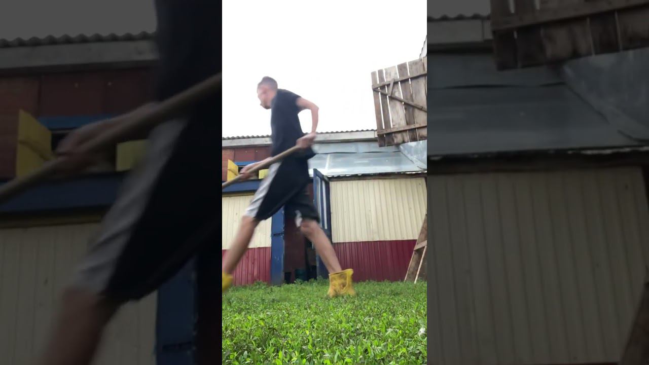 Квест «Успей или нет другого варианта» смотреть онлайн