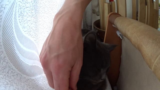 Рецепт: Шоколадные маффины. Chocolate muffins. Взаимная подписка 2017. смотреть онлайн