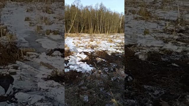 Копаем пруд смотреть онлайн