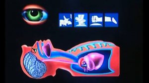 при сердечном приступе