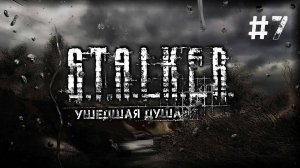 S.T.A.L.K.E.R. Ушедшая душа. #7.