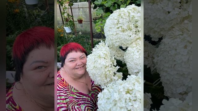 моя Анабель Стронг смотреть онлайн