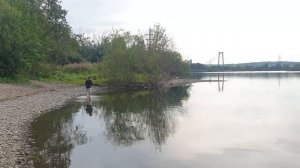 Ондатра Водяная крыса Ангара Красивое видео