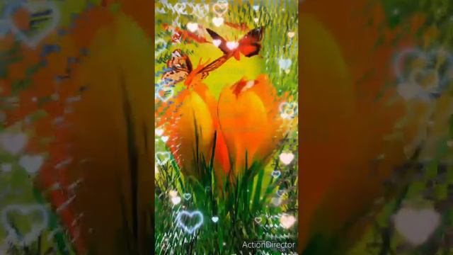 27 ноября 2022 г. смотреть онлайн