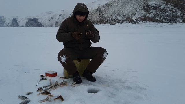 Ловля Окуня зимой..mp4 смотреть онлайн