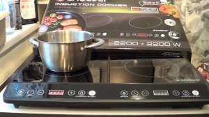 Индукционная электроплитка endever skylin ip-44