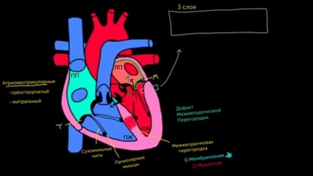 Слои сердца смотреть онлайн