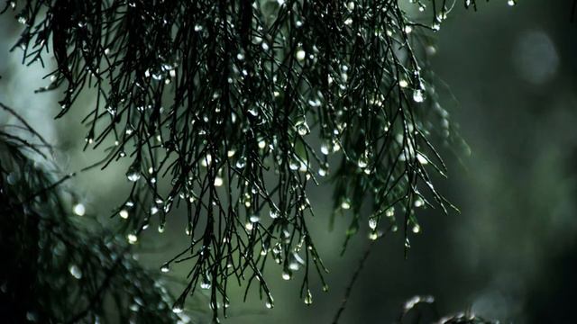 Грустная музыка для души. Sad music for the soul to listen to everyone смотреть онлайн