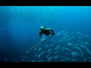 Подводная охота в Черном море 2023. Сентябрь. "Сингиль" Часть № 1.