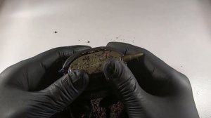 Как Работает Методная Кормушка Под Водой