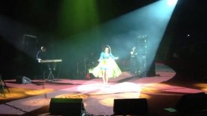 Наташа Королева - Желтые тюльпаны (г. Рязань, Цирк, 29.11.2013)