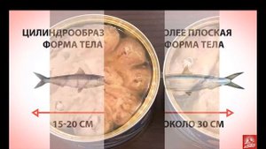 Сардина и Сардинелла