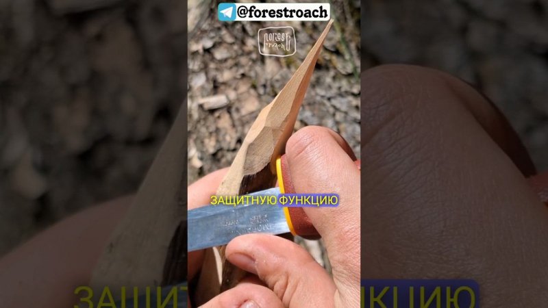 НУЖНА ЛИ НОЖУ ГАРДА? #forestroach #лес  #бушкрафт #выживание #wood #diy #forest