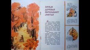 Читаем детям АУДИОКНИГА ПОЧЕМУ ОСЕНЬЮ ЛИСТОПАД? Георгий Граубин /аудиокниги для детей/