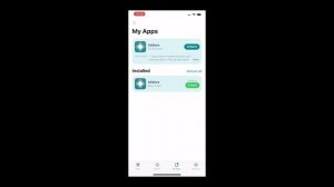 Установка DJI FLY Frida на IOS