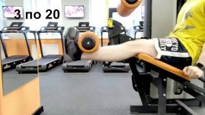 Тренировка при протрузии в пояснице