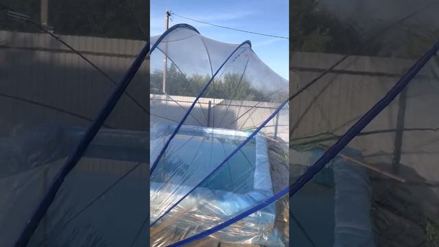 15 июня 2021 г. смотреть онлайн