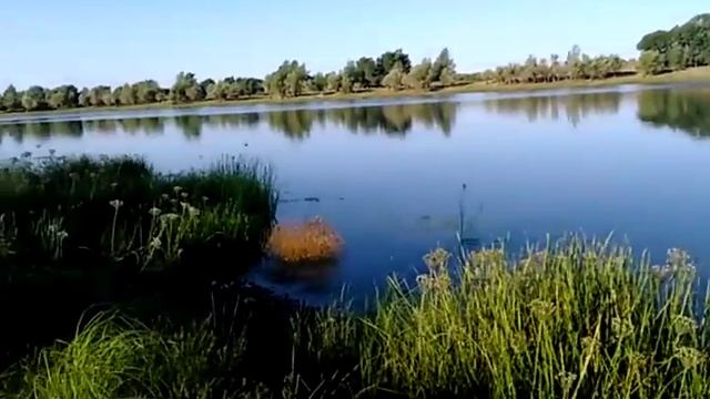 Нариманов_Астраханская область_14_8_16