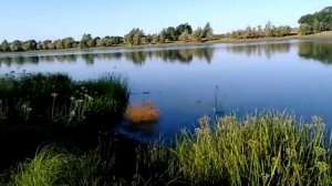 Нариманов_Астраханская область_14_8_16