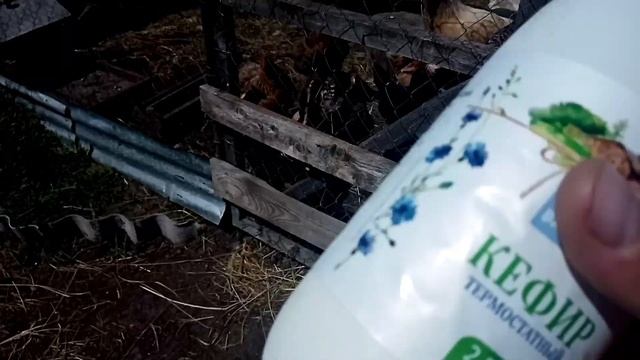 У КУРОЧЕК ПОНОС ЧТО ДЕЛАТЬ смотреть онлайн