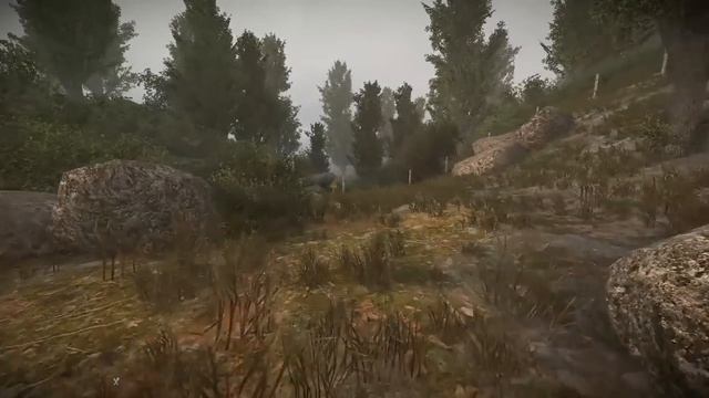 Мэддисон заценил мод S.T.A.L.K.E.R. Anomaly смотреть онлайн